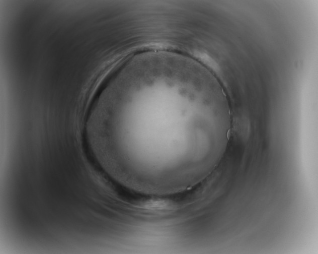 X0000088920063200706081407