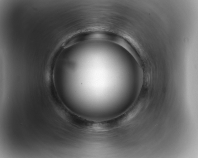 X0000088920064200706081407