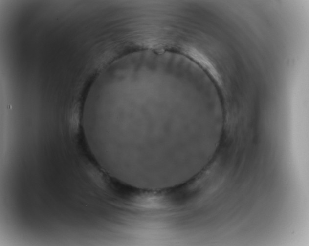 X0000088920065200706081407