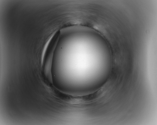 X0000088920066200706081407