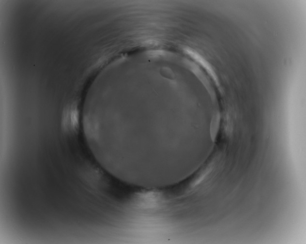 X0000088920067200706081407