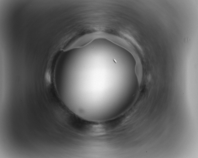 X0000088920068200706081407