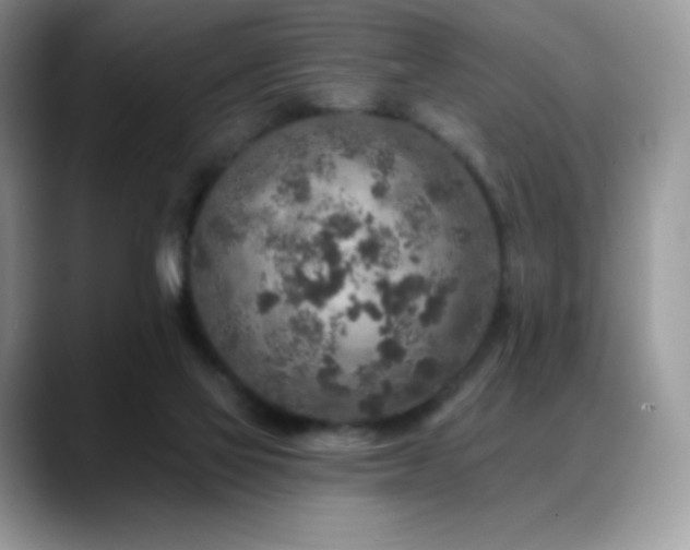 X0000088920069200706081407