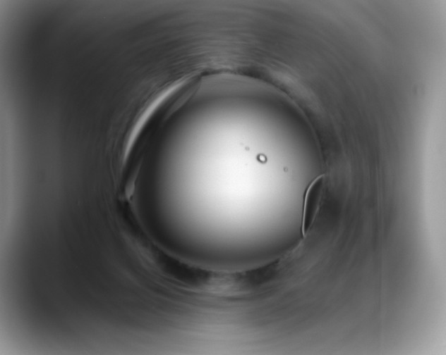 X0000088920070200706081407