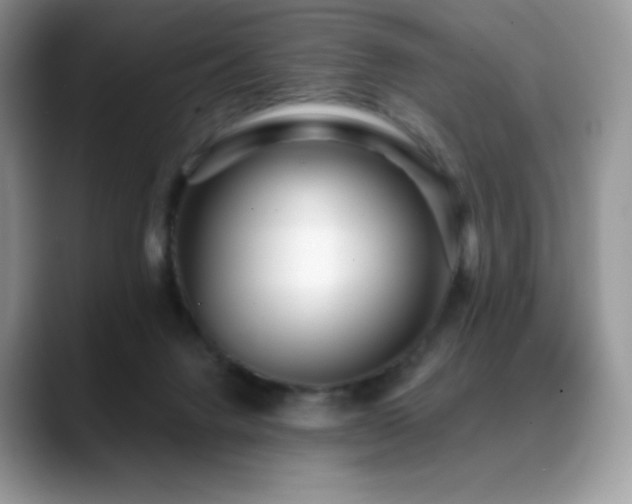 X0000088920072200706081407
