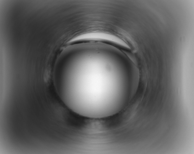 X0000088920073200706081407