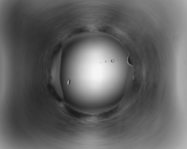 X0000088920075200706081407