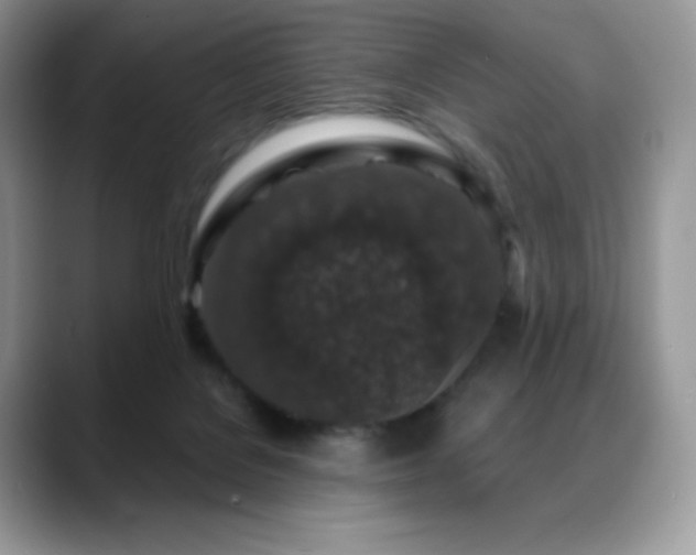 X0000088920076200706081407