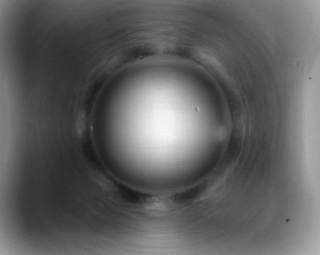 X0000088920077200706081407