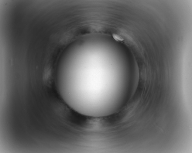 X0000088920079200706081407