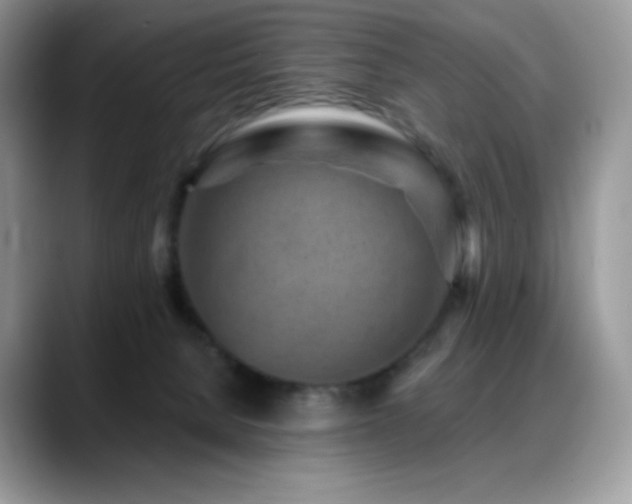 X0000088920080200706081407