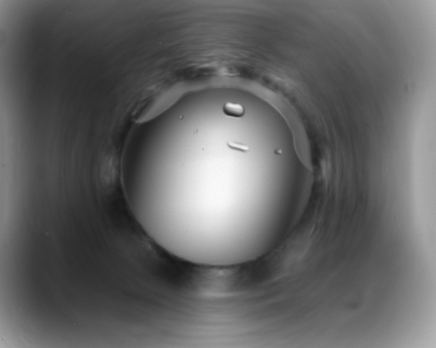 X0000088920081200706081407