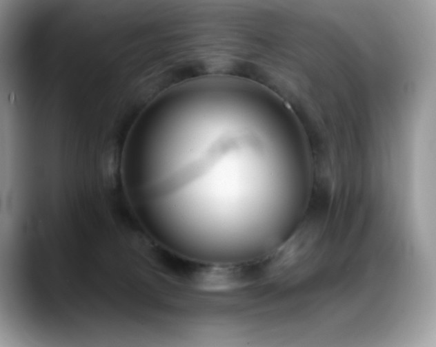 X0000088920082200706081407