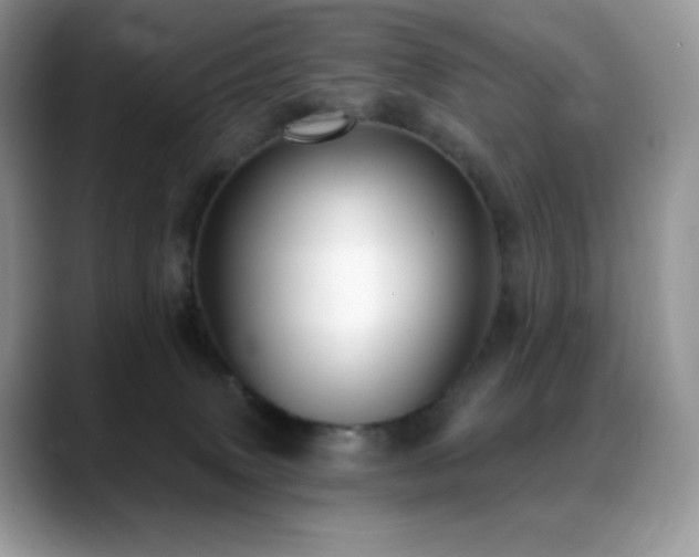 X0000088920083200706081407