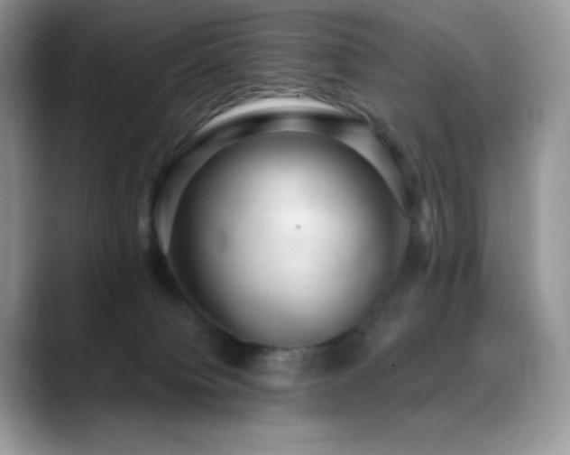 X0000088920084200706081407