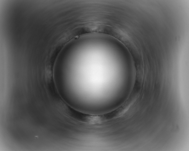 X0000088920085200706081407