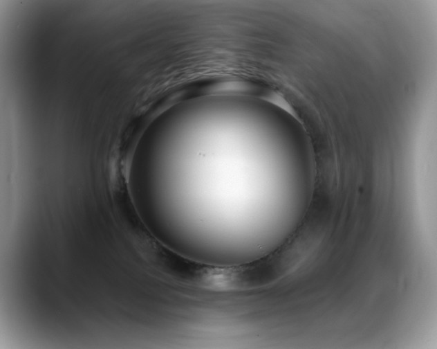 X0000088920088200706081407