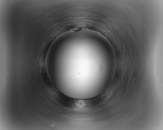 X0000088920091200706081407