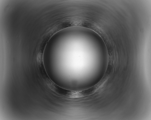 X0000088920093200706081407