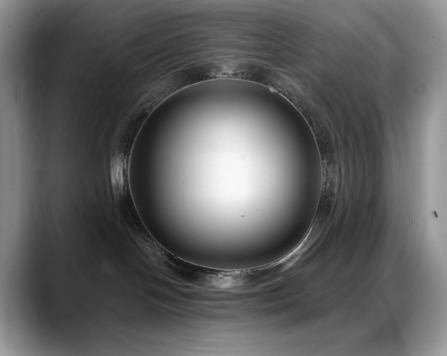 X0000088920094200706081407