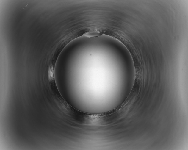 X0000088920095200706081407