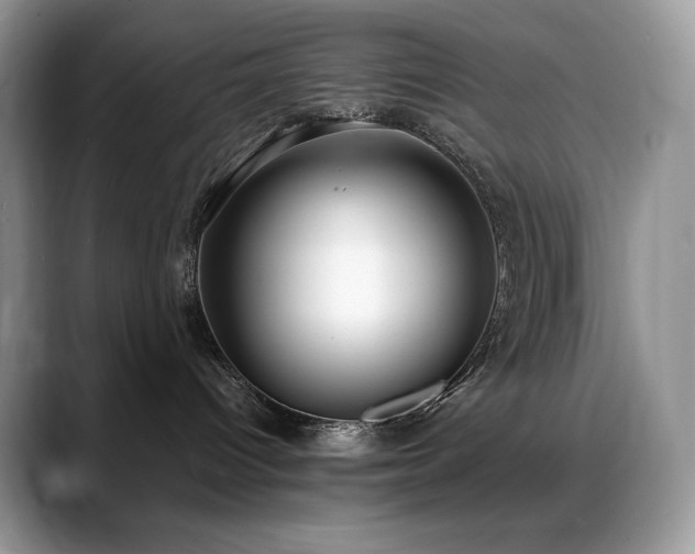 X0000088920096200706081407