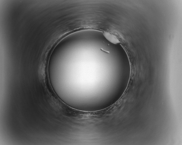 X0000088920098200706081406