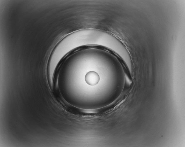 X0000088920099200706081406