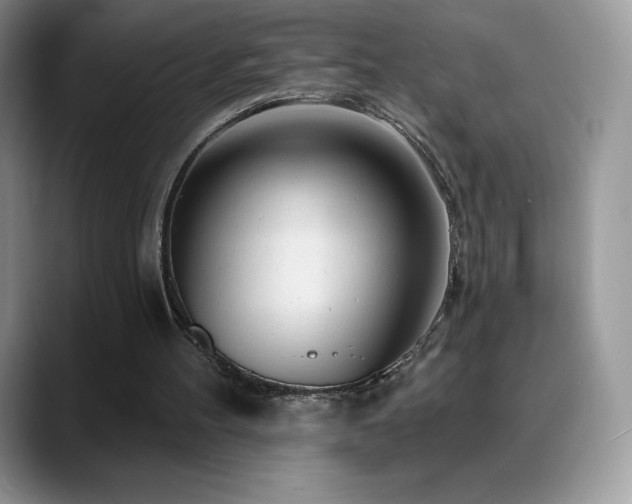 X0000088920100200706081406