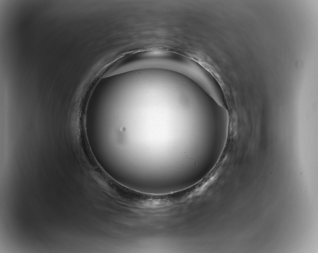 X0000088920101200706081406