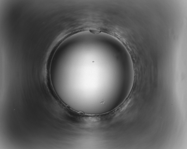 X0000088920102200706081406