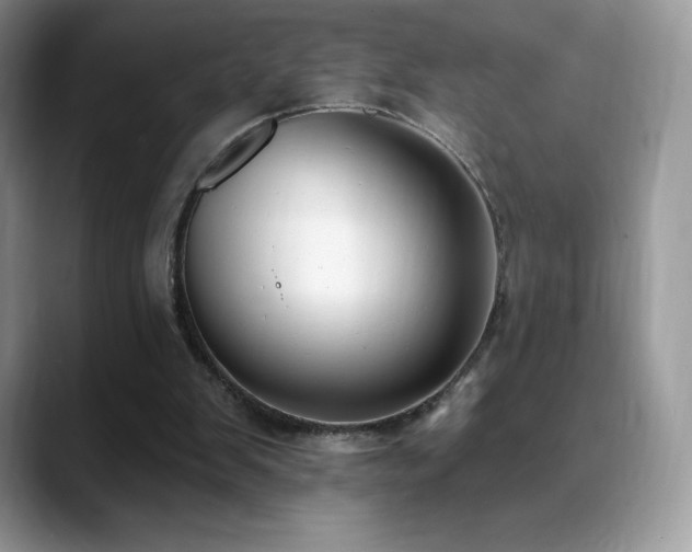 X0000088920103200706081406