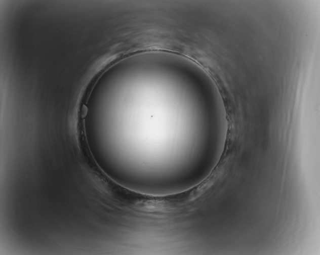 X0000088920104200706081406