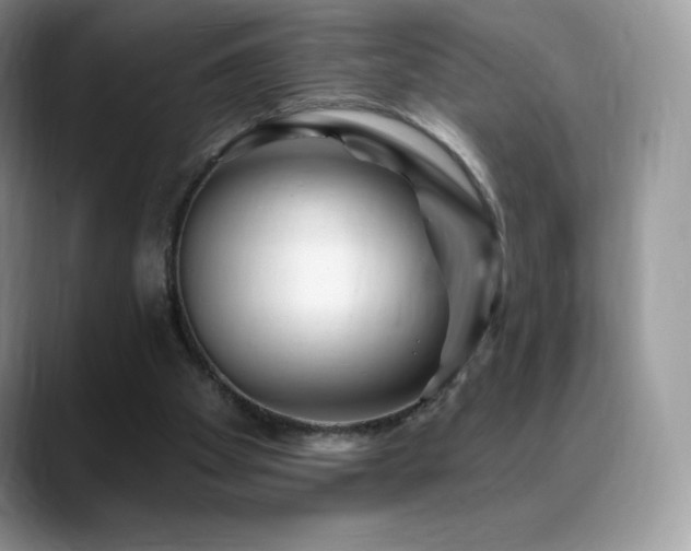 X0000088920105200706081406