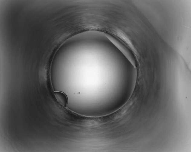 X0000088920106200706081406