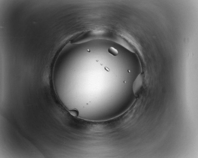 X0000088920107200706081406