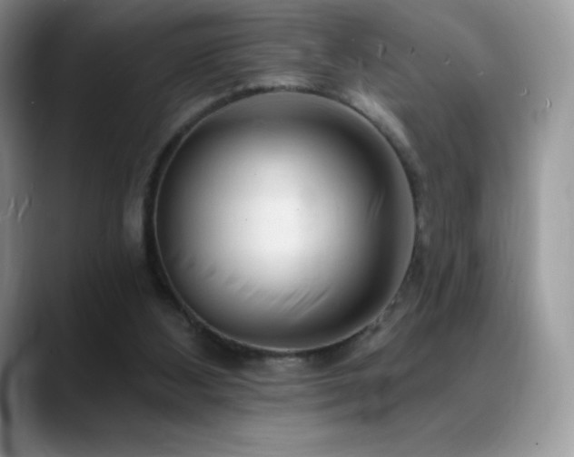 X0000088920108200706081406