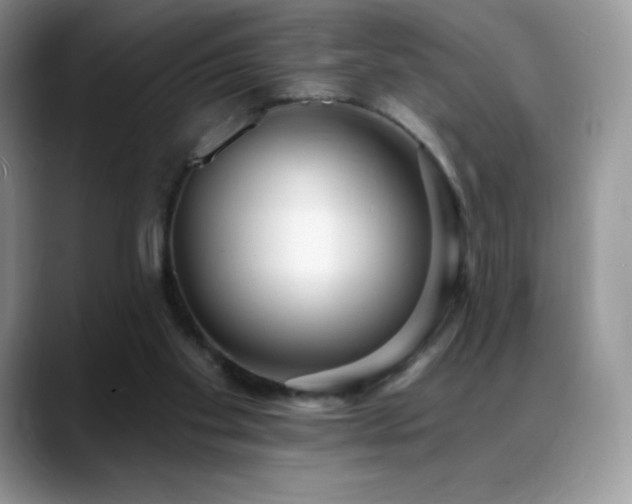 X0000088920109200706081406