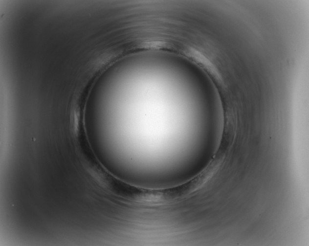 X0000088920110200706081406