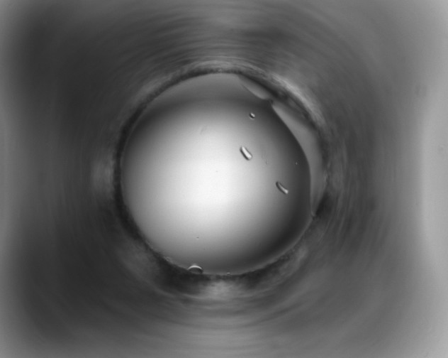 X0000088920111200706081406
