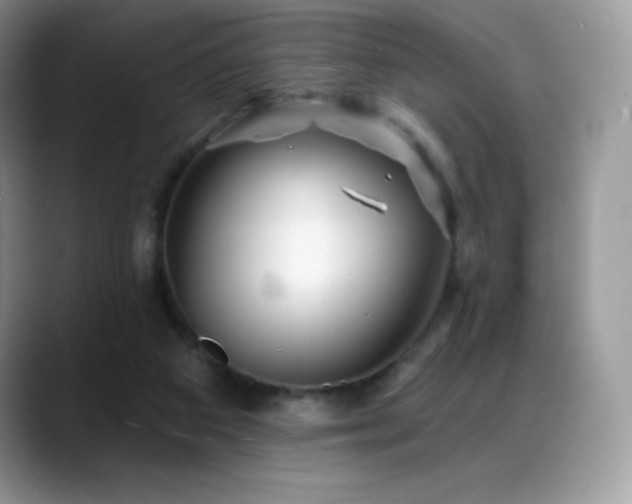 X0000088920113200706081406