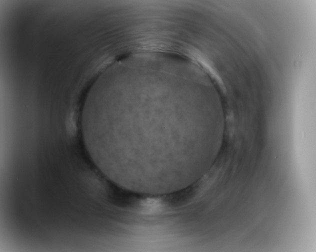 X0000088920114200706081406
