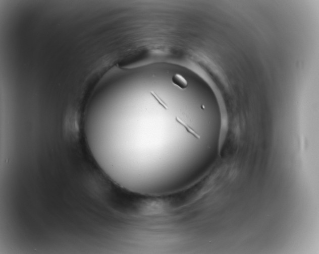 X0000088920115200706081406