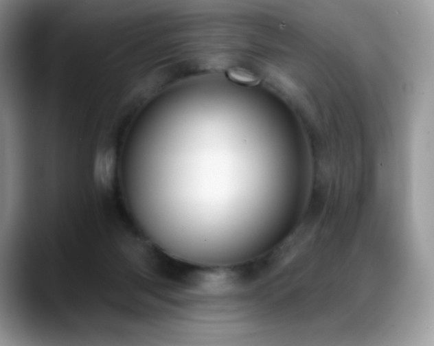 X0000088920118200706081406