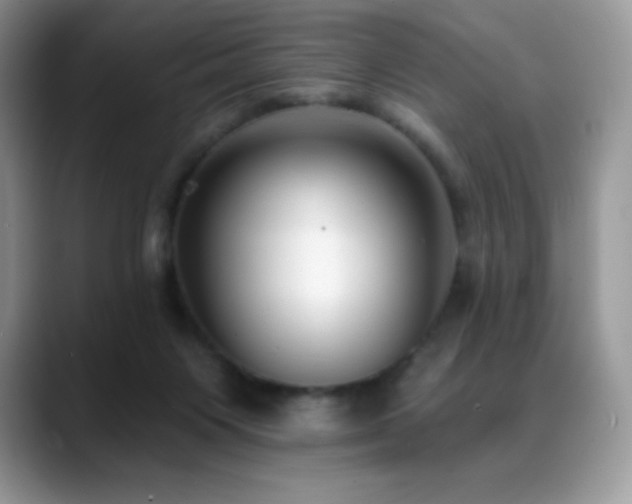 X0000088920119200706081406