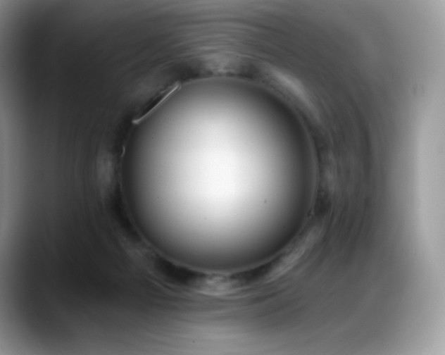 X0000088920121200706081406