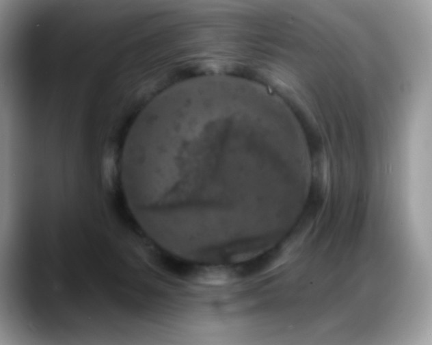 X0000088920127200706081406