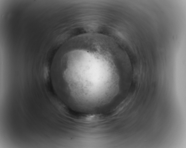 X0000088920130200706081406