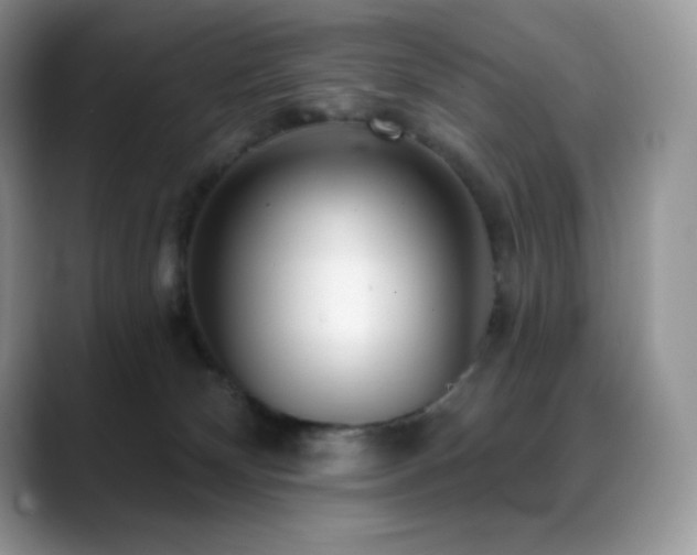X0000088920132200706081406