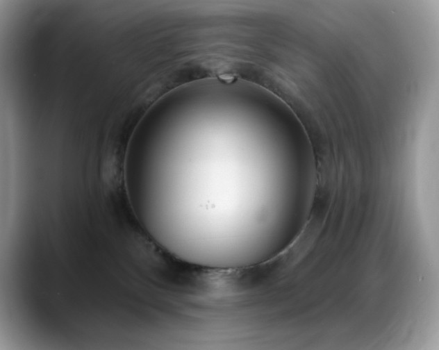 X0000088920136200706081406